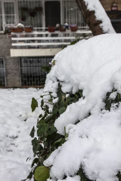 Aire Libre Nieve Aislar Fondo —  Fotos de Stock