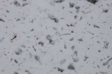 arka plan açık havada kar izole