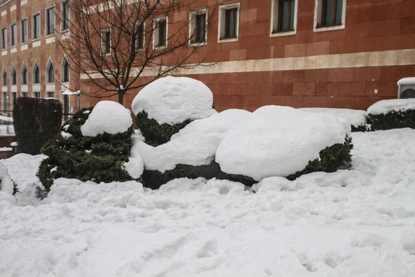 Aire Libre Nieve Aislar Fondo —  Fotos de Stock