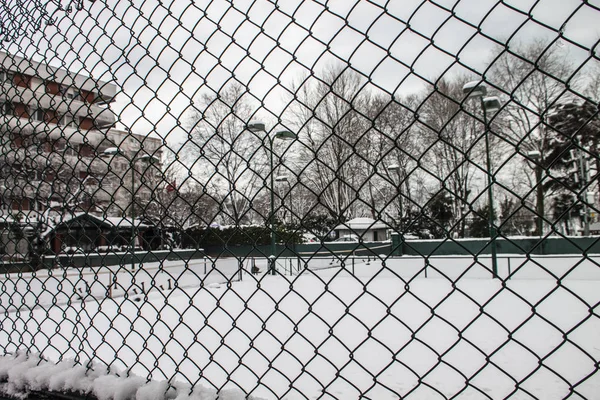 Aire Libre Nieve Aislar Fondo —  Fotos de Stock