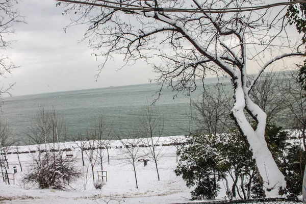 Aire Libre Nieve Aislar Fondo —  Fotos de Stock