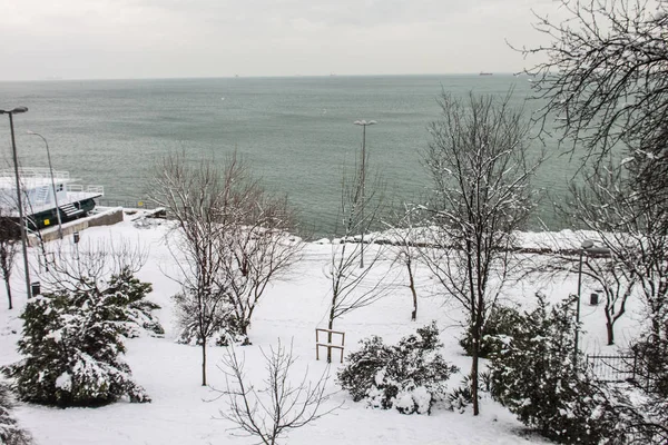 Aire Libre Nieve Aislar Fondo —  Fotos de Stock