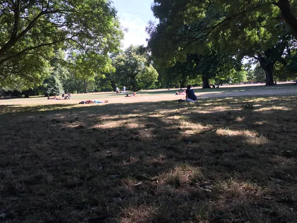 Vista Del Jardín Público Durante Día —  Fotos de Stock