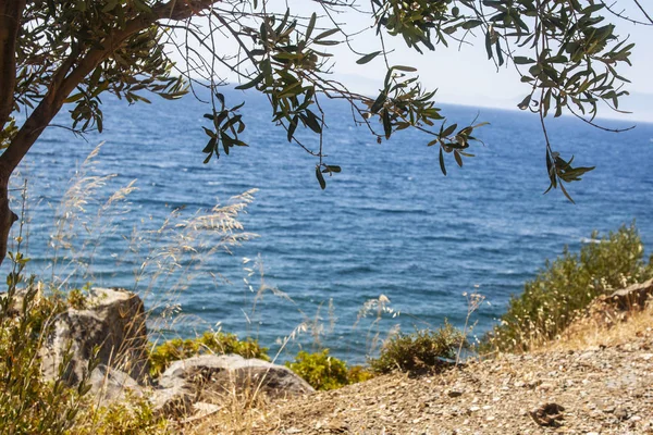 Vue Plage Isoler Fond — Photo