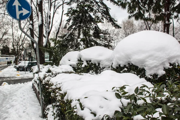 Aire Libre Nieve Aislar Fondo —  Fotos de Stock