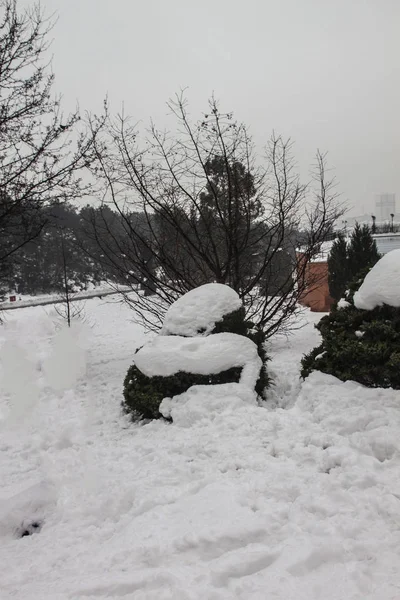 Aire Libre Nieve Aislar Fondo —  Fotos de Stock