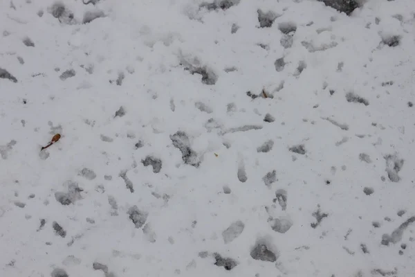 Aire Libre Nieve Aislar Fondo — Foto de Stock