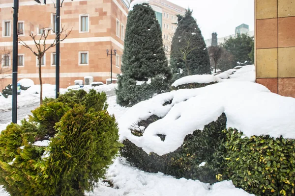 Outdoors Snow Isolate Background — Stock Photo, Image