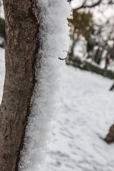 Aire Libre Nieve Aislar Fondo —  Fotos de Stock