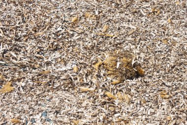 arka plan olarak rock yüzey dokusu