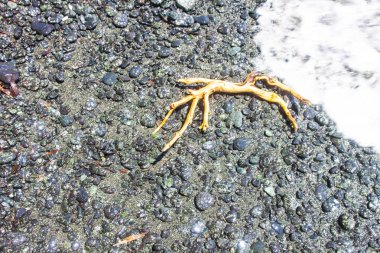 arka plan olarak rock yüzey dokusu