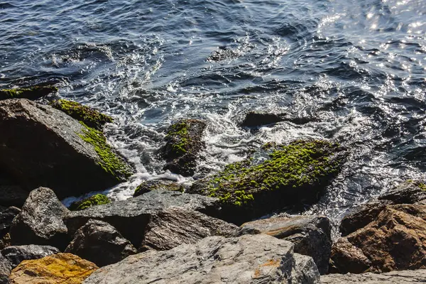 Mar Rocas Aíslan Fondo — Foto de Stock