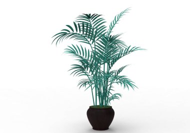 yeşil yapraklı ağaç izole arka plan