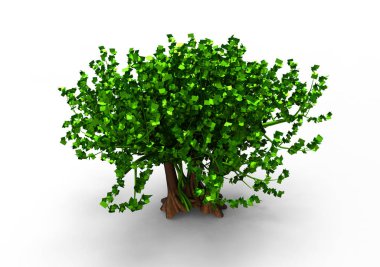 yeşil yapraklı ağaç izole arka plan