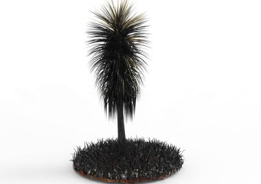 yeşil yapraklı ağaç izole arka plan