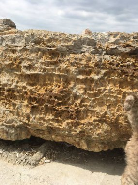 arka plan olarak rock yüzey dokusu