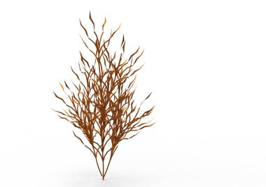 yeşil yapraklı ağaç izole arka plan