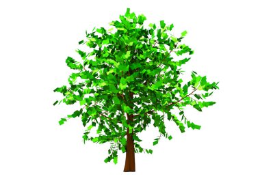 yeşil yapraklı ağaç izole arka plan