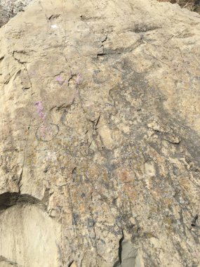 arka plan olarak rock yüzey dokusu