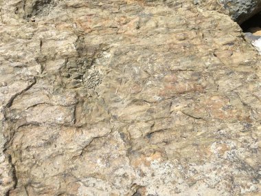 arka plan olarak rock yüzey dokusu