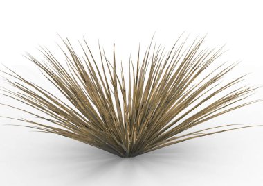 Bush 3d ayrı tut moduyla arka plan