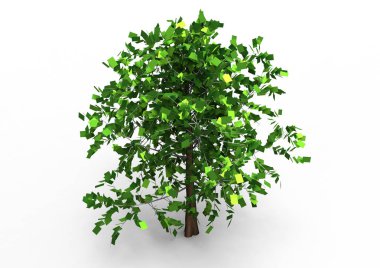 yeşil yapraklı ağaç izole arka plan