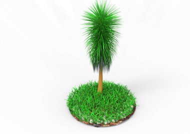 yeşil yapraklı ağaç izole arka plan