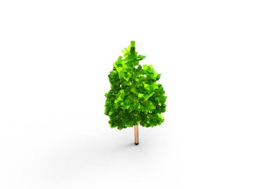 yeşil yapraklı ağaç izole arka plan