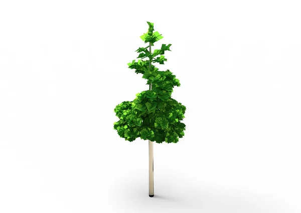 Albero Verde Foglia Isolare Sfondo — Foto Stock