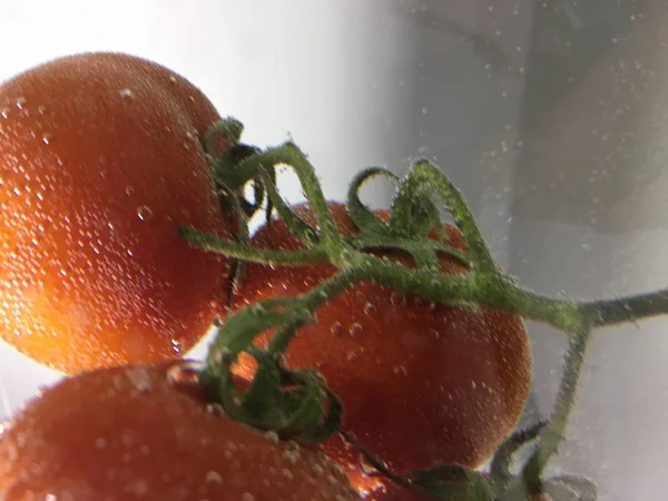 トマト分離背景のクローズ アップ — ストック写真