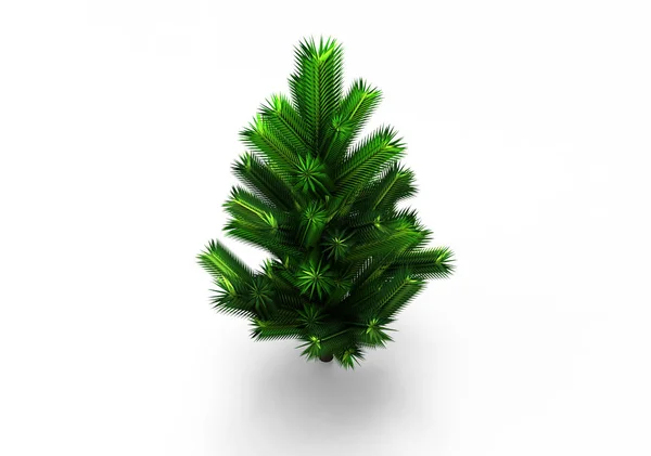 Zelená Listová Strom Izoluje Pozadí — Stock fotografie