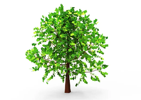 Green Leafy Tree Isolate Background — Stock Photo, Image