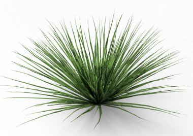 Bush 3d ayrı tut moduyla arka plan