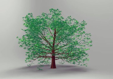 yeşil yapraklı ağaç izole arka plan