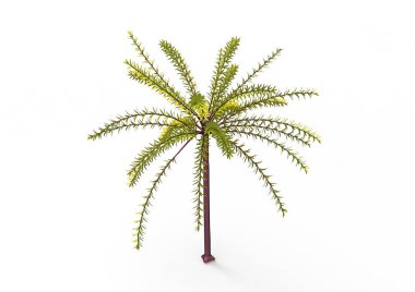 yeşil yapraklı ağaç izole arka plan