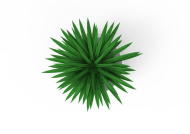 Bush 3d ayrı tut moduyla arka plan