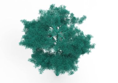 yeşil yapraklı ağaç izole arka plan