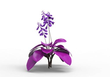 yeşil yapraklı ağaç izole arka plan