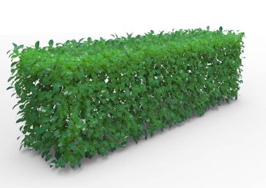 Bush 3d ayrı tut moduyla arka plan