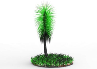 yeşil yapraklı ağaç izole arka plan