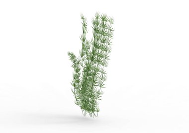 Bush 3d ayrı tut moduyla arka plan