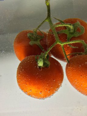 domates izole arka planı kapat