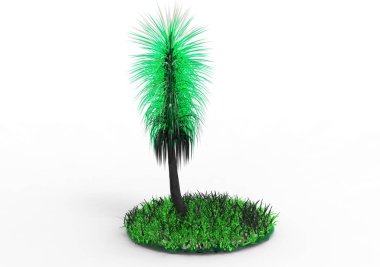 yeşil yapraklı ağaç izole arka plan