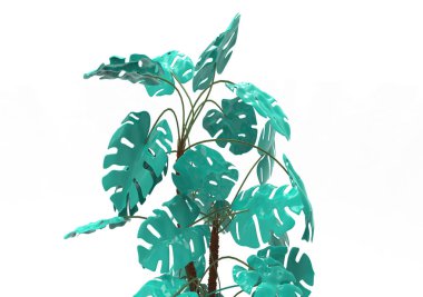 yeşil yapraklı ağaç izole arka plan