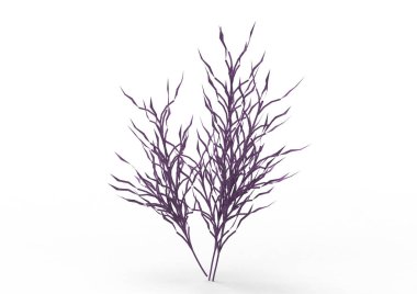 yeşil yapraklı ağaç izole arka plan