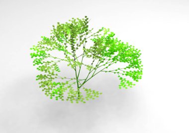 yeşil yapraklı ağaç izole arka plan