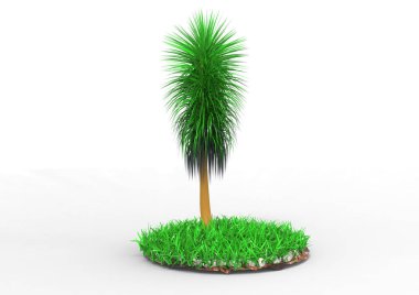 yeşil yapraklı ağaç izole arka plan