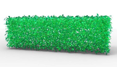 Bush 3d ayrı tut moduyla arka plan