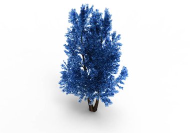 yeşil yapraklı ağaç izole arka plan