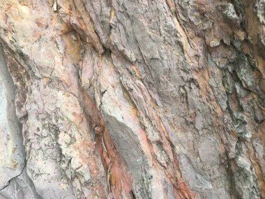 arka plan olarak rock yüzey dokusu